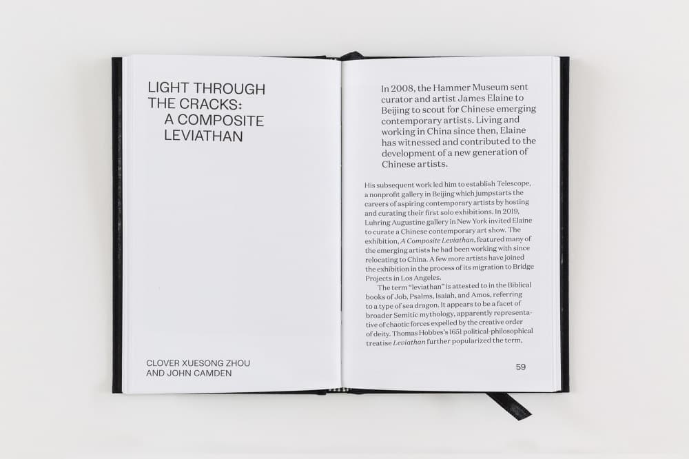 Light Through the Cracks,' published in A Composite Leviathan